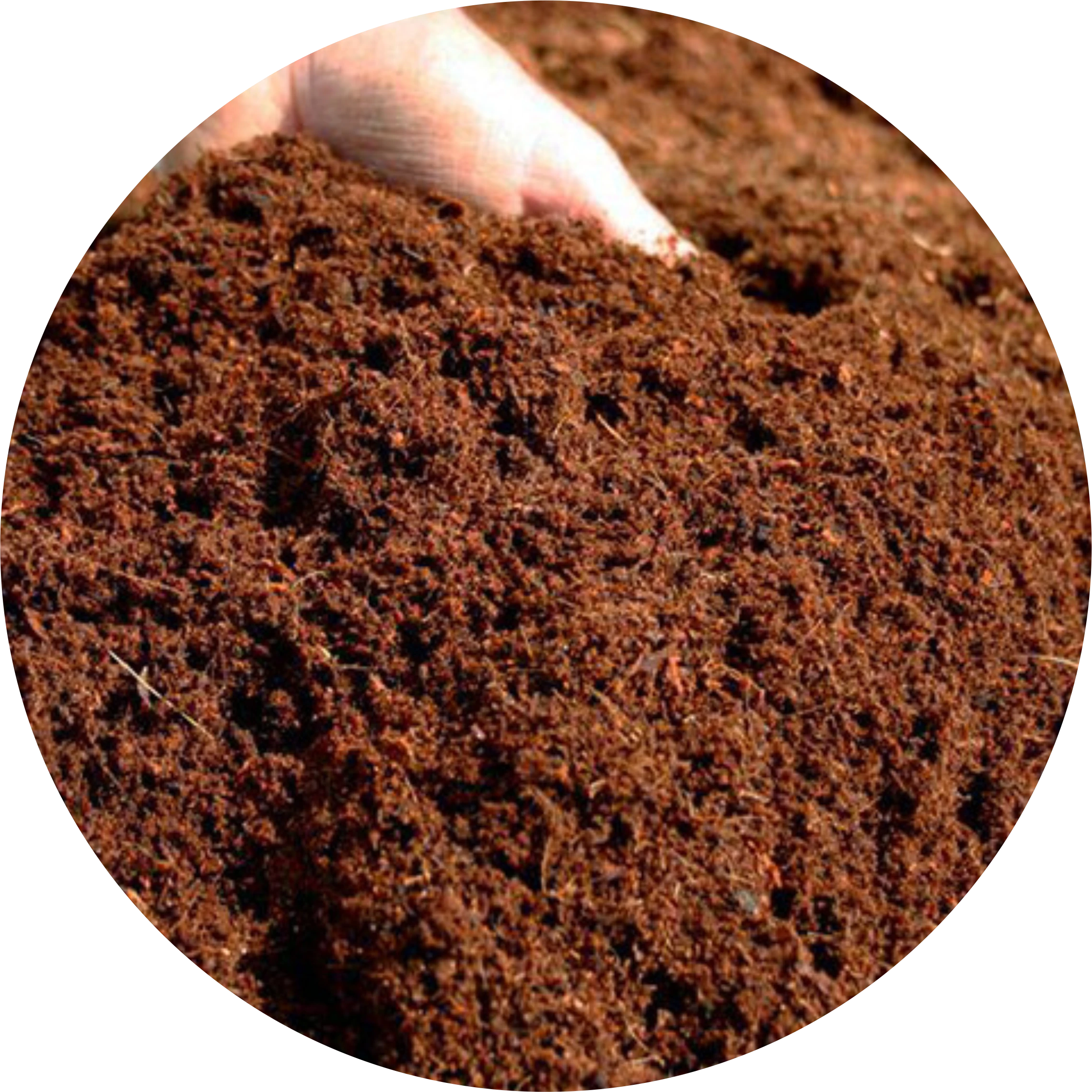 Cocopeat